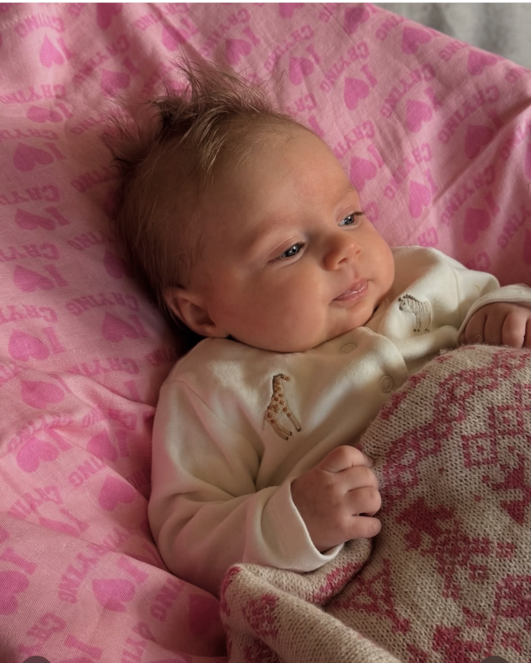 The New York Princess