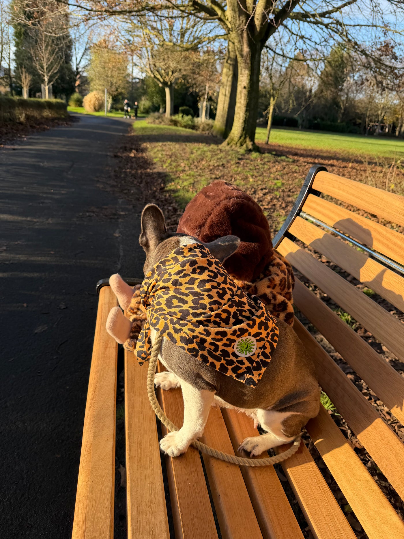 The Camo Cutie